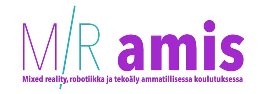 Mr. Amis featured-image