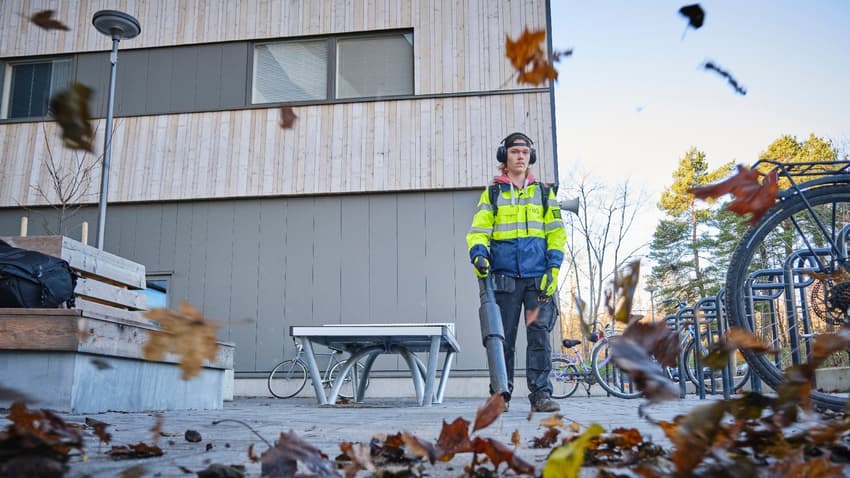 Työllistämisen tukimuodot auttavat työnantajia palkkaamaan täsmätyökykyisiä