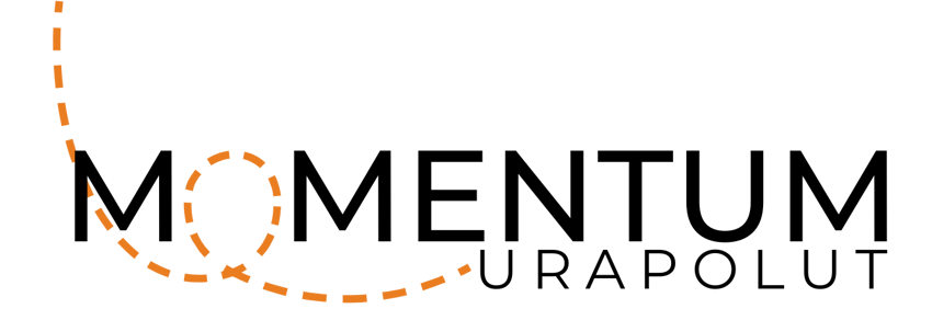 Tavoittamisen parhaat keinot Momentum-projektissa – oppeja ja oivalluksia