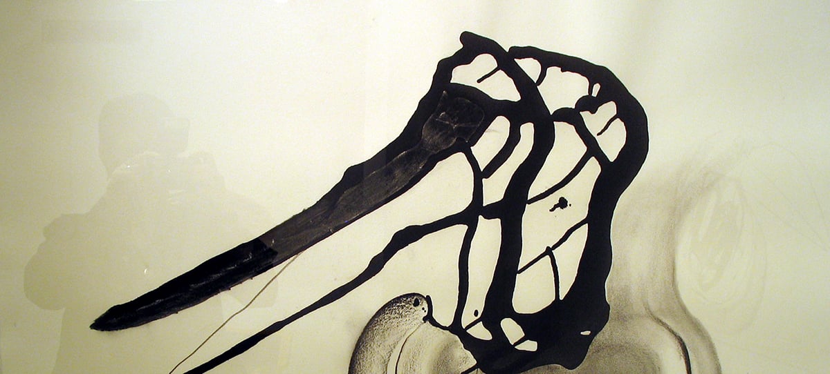 Kuvataiteilija Kaarina Kaikkosen akvarelli nimeltään Kova lintu.