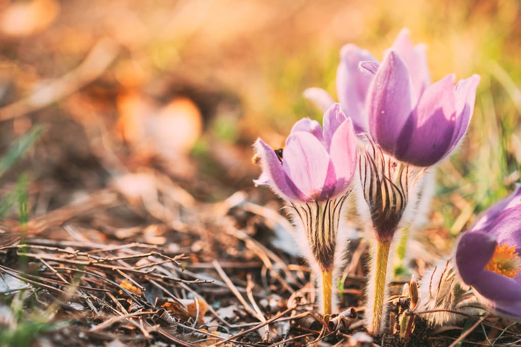 Kun kotielämä venyy äärimmilleen, ammattilaiset voivat lyhentää matkaa työelämään