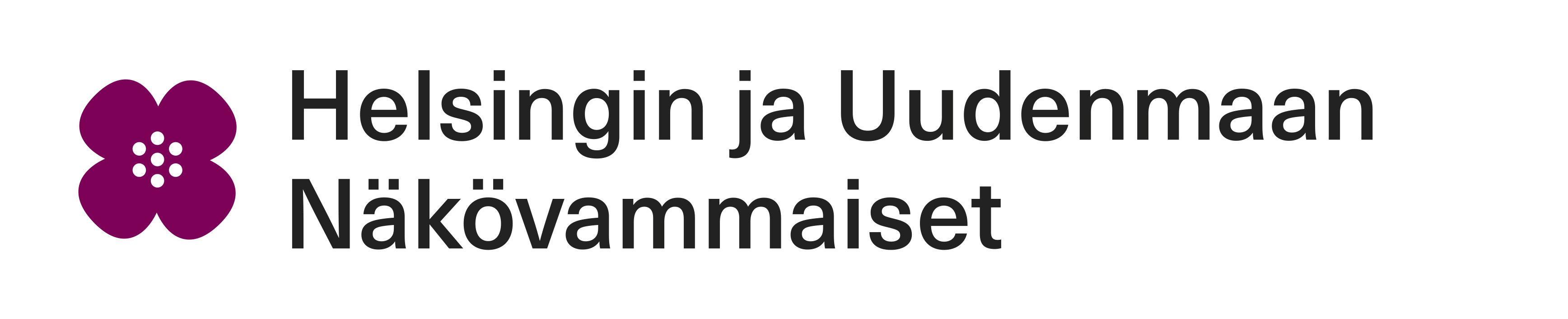 Helsingin ja Uudenmaan Näkövammaiset ry:n logo